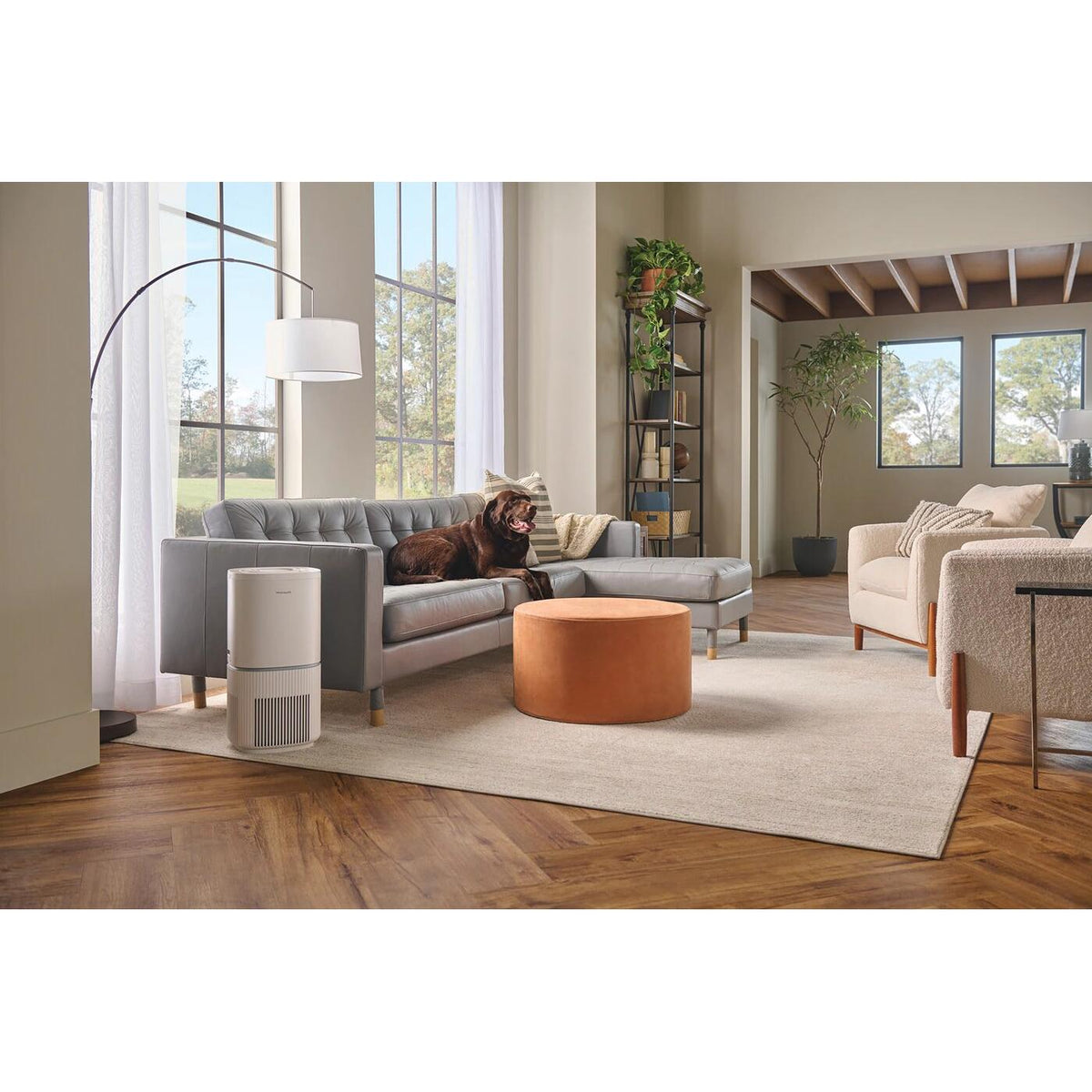 Frigidaire PureA300™ XL HEPA Air Purifier with WiFi FHAP2040A1 IMAGE 4