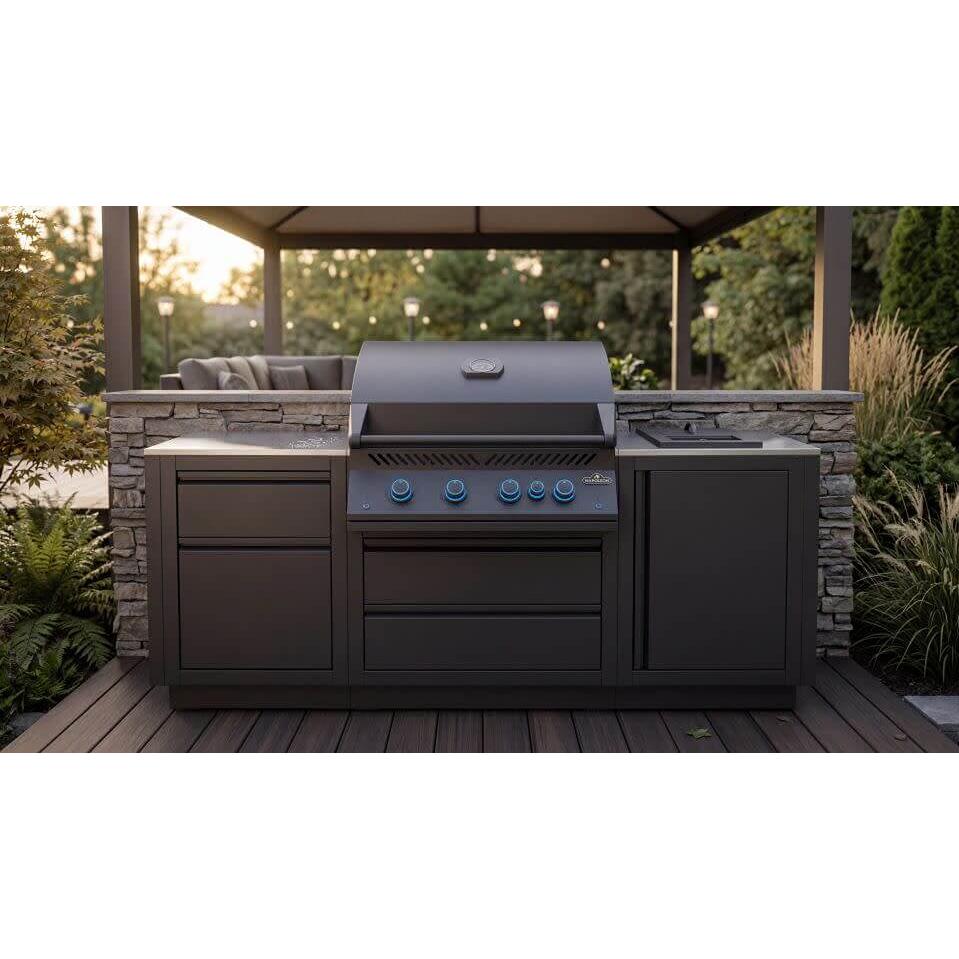 Napoleon OASIS® Outdoor Gas Grill Center - Natural Gas OOK-001 IMAGE 2