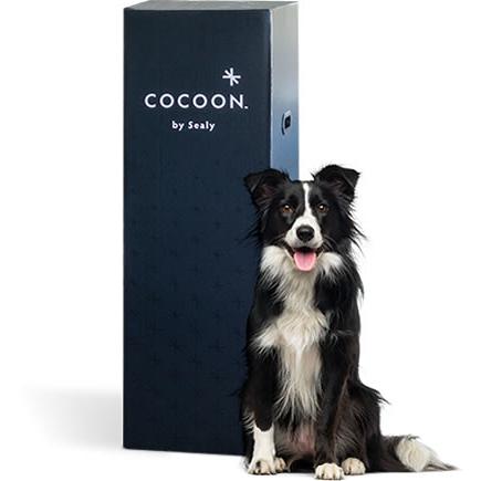  Sealy Cocoon Soft Mattress (King) IMAGE 3