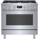 Stainless Steel