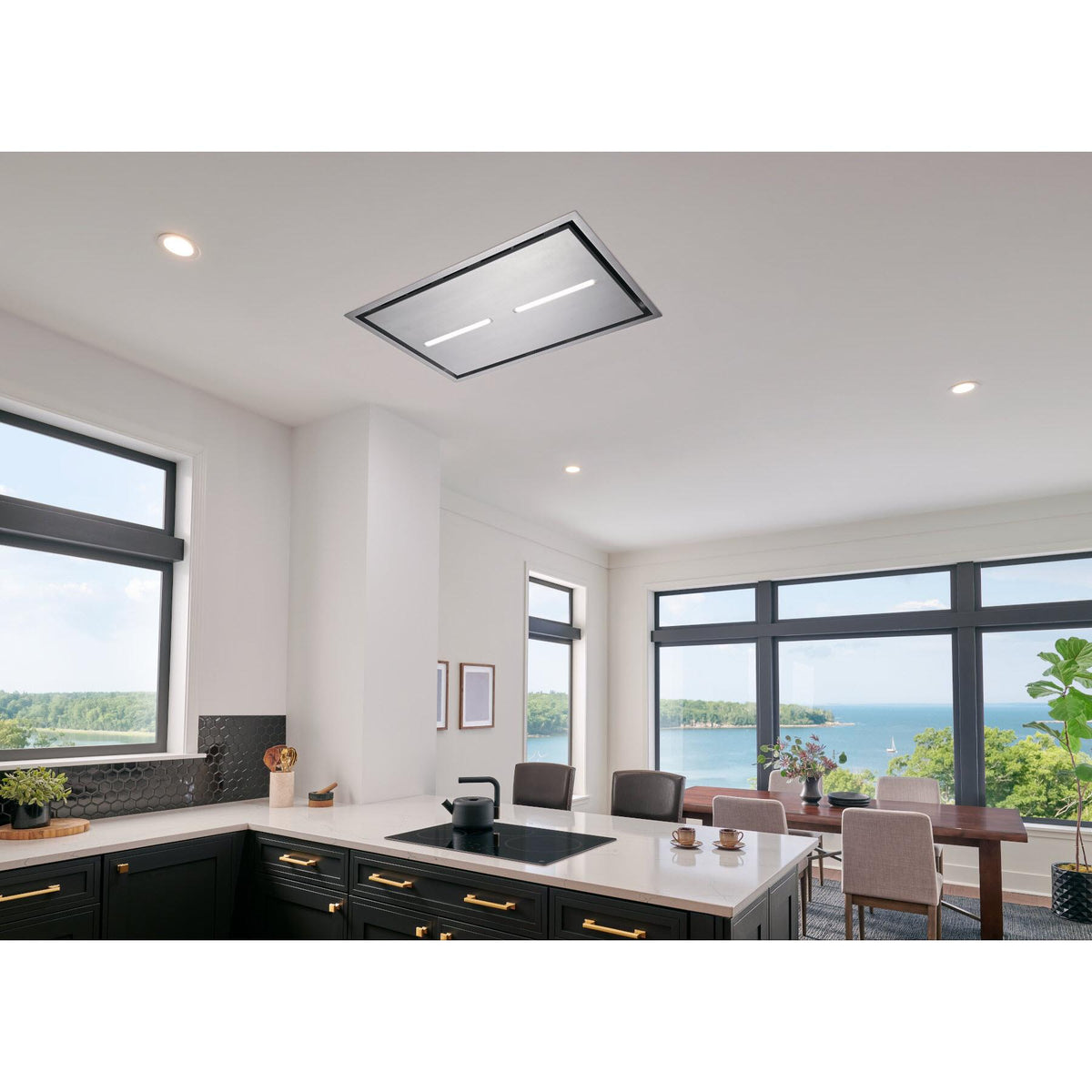  Best 43-inch HBC1 Series Ceiling Hood HBC143ESS IMAGE 8