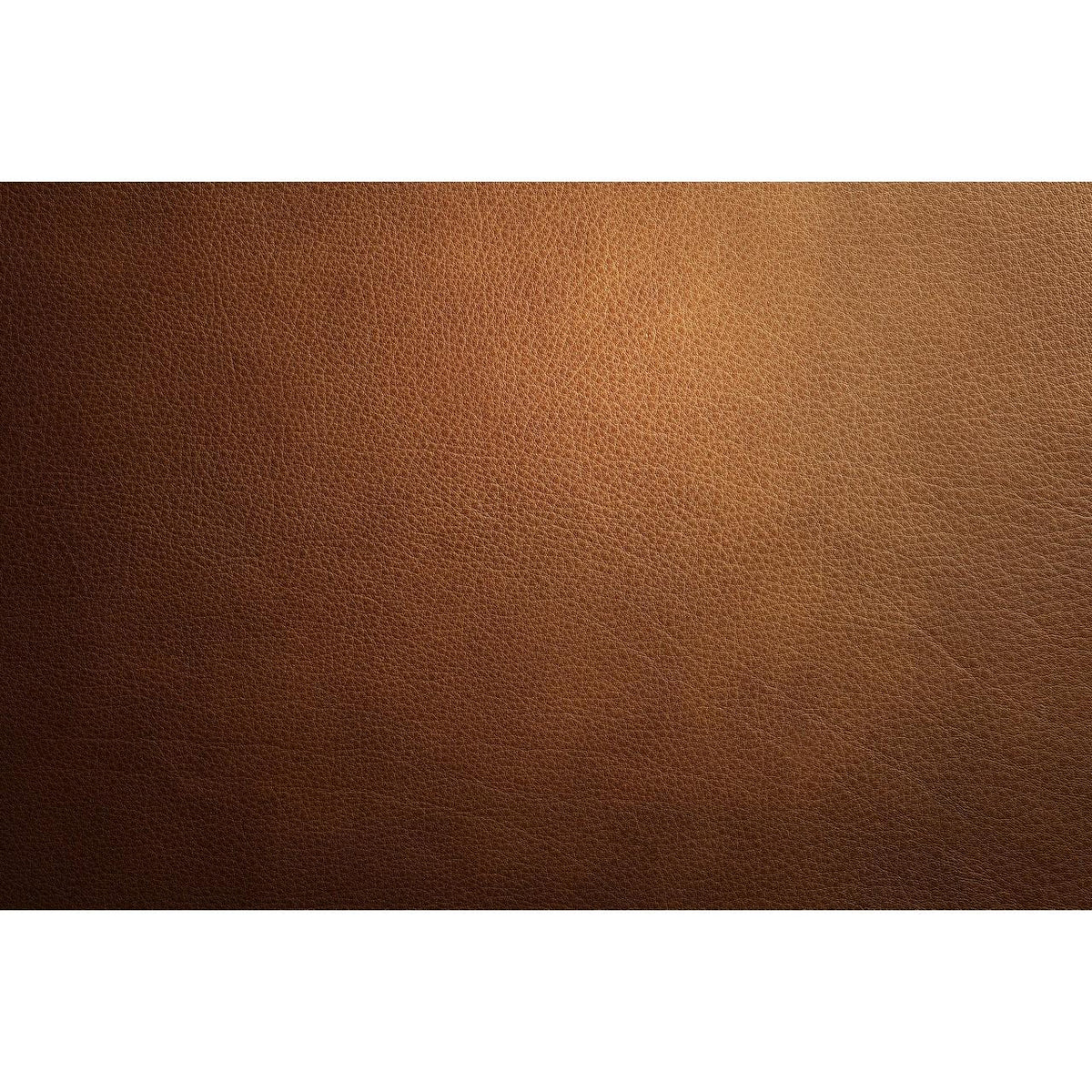  JennAir 24" Leather Panel - Cognac COGNAC24L IMAGE 2