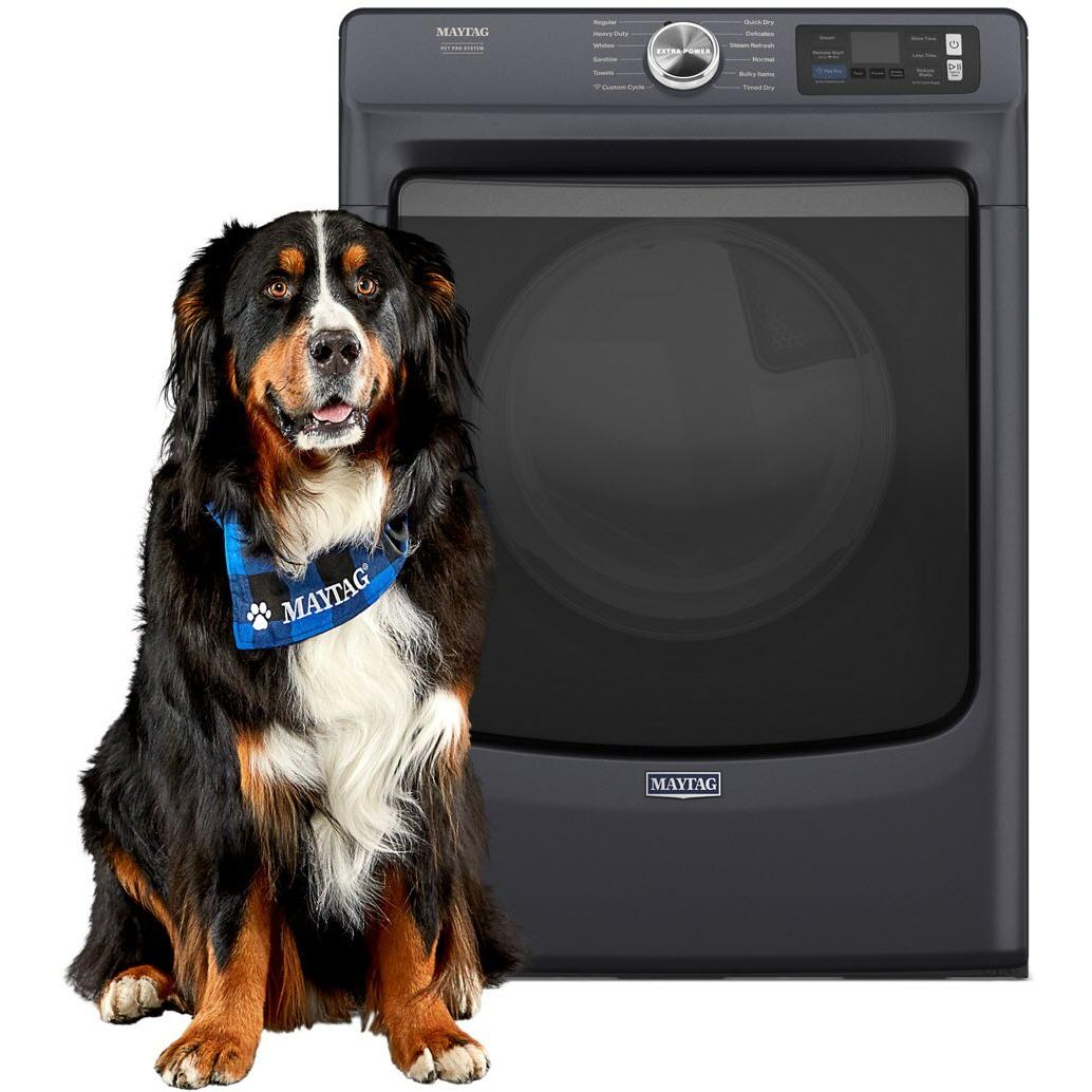  Maytag 7.4 cu. ft. Electric Dryer with Pet Pro Option YMED7020RF IMAGE 1