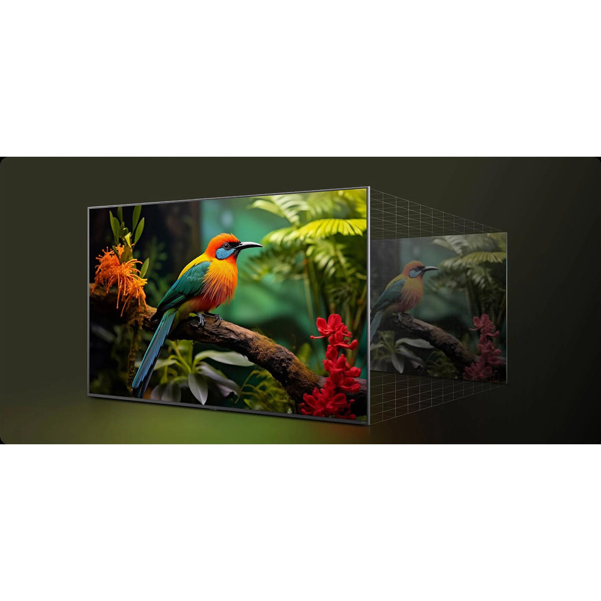  LG QNED80 55-inch 4K UHD Smart LED TV 55QNED80AUA IMAGE 5