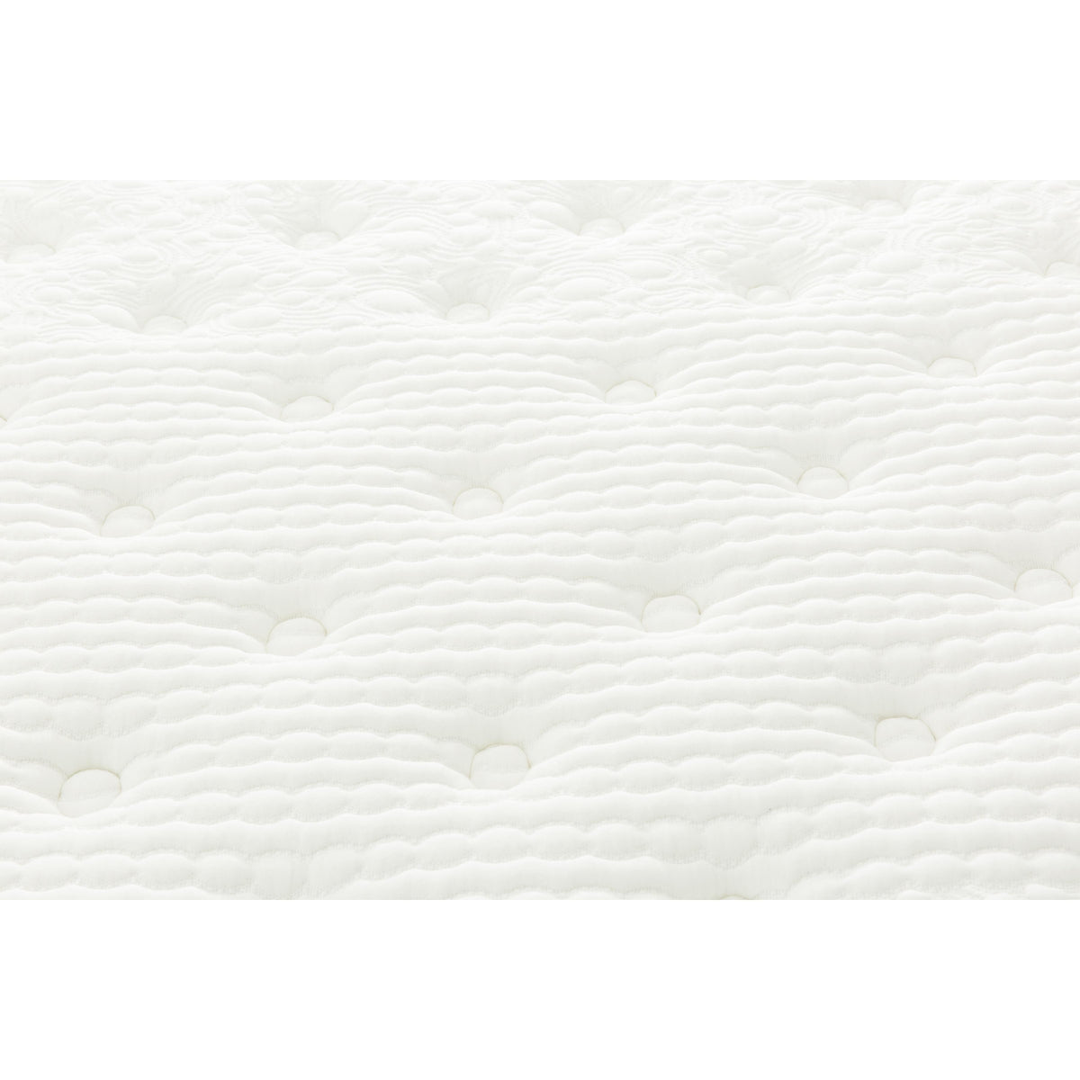  Primo International Majesty Plush Pillow Top Mattress (Queen) IMAGE 4