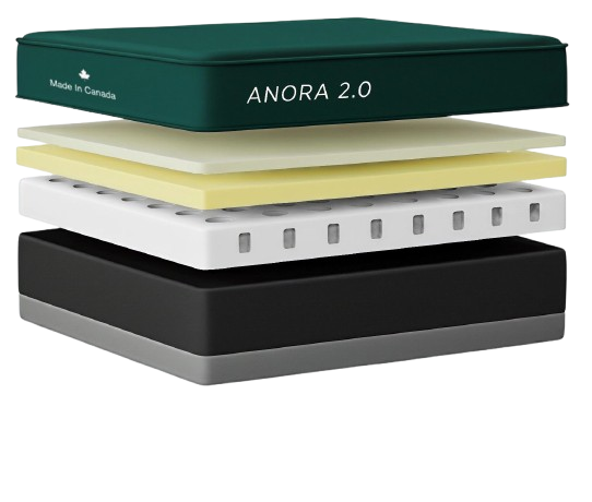 Anora 2.0